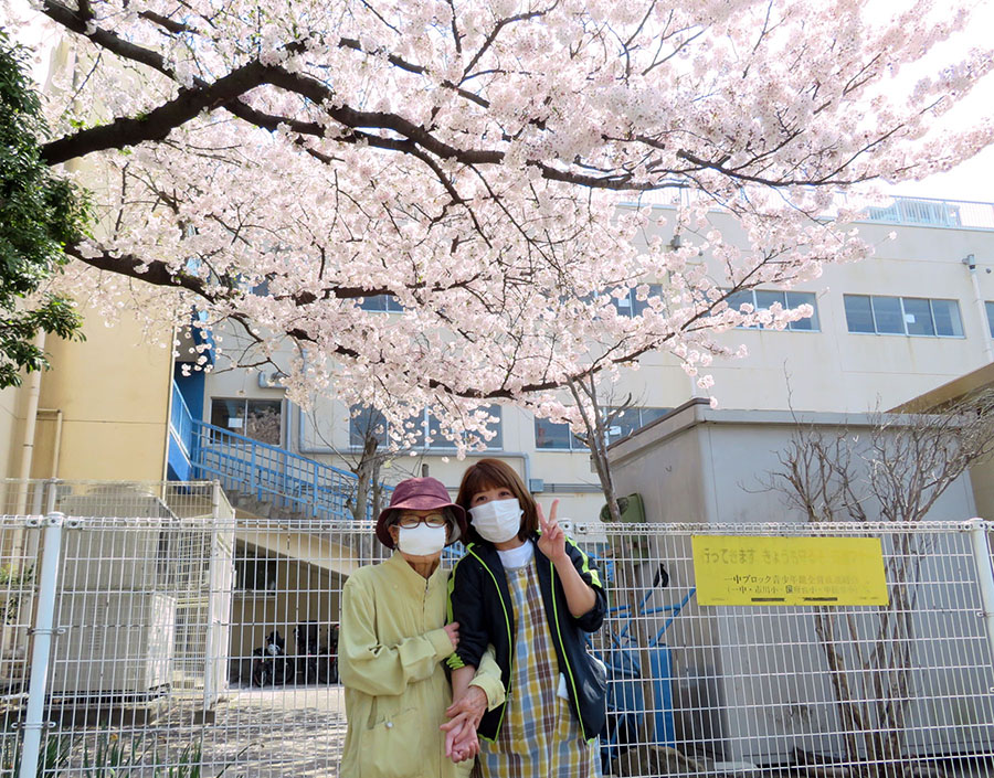 満開の桜で一句